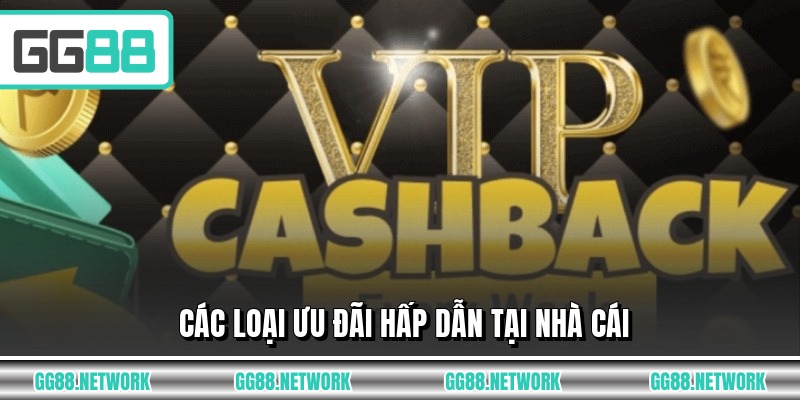 Các loại ưu đãi hấp dẫn tại nhà cái