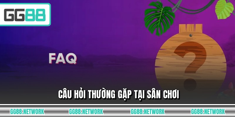 Câu hỏi thường gặp tại sân chơi